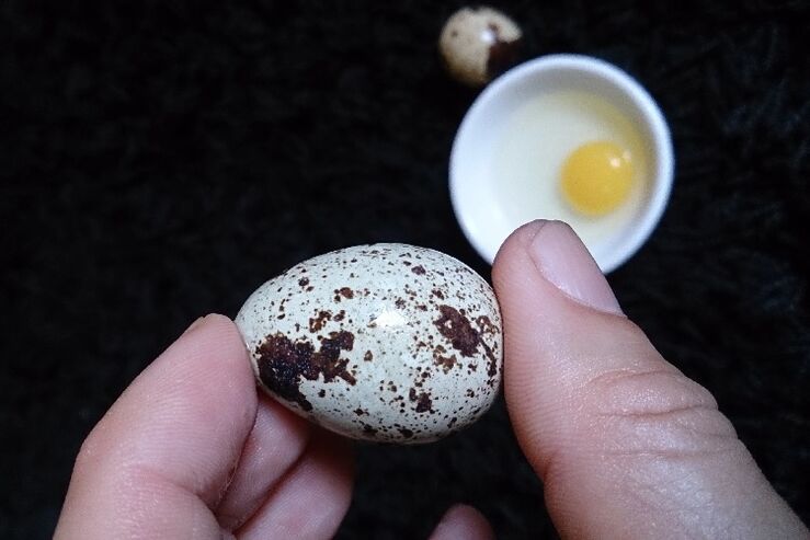 vezët e thëllëzës për të rritur fuqinë